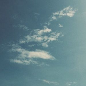 Meet your Posher, Shania